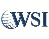 WSI (We Simplify the Internet)